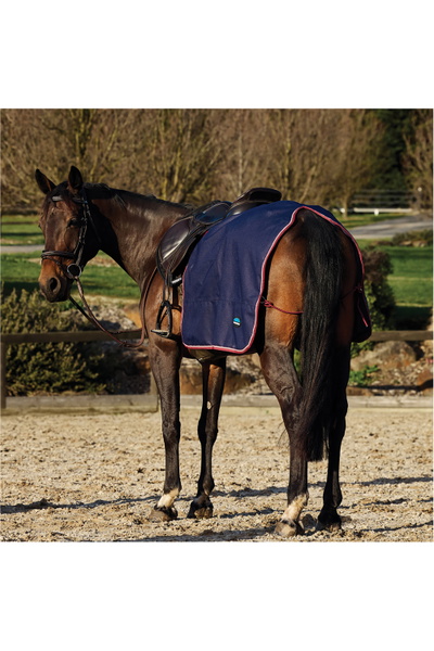 WeatherBeeta Impermeable Fleece Quarter Sheet