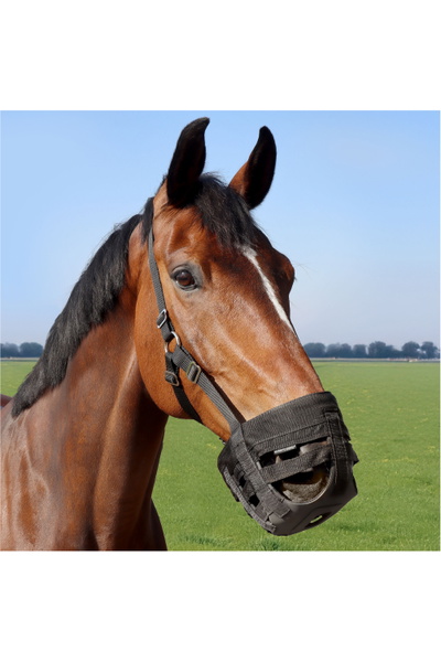 Harrys Horse Muselière à Pâture Air