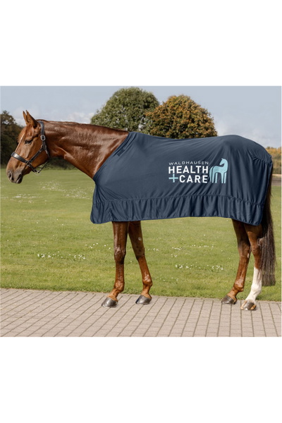 Waldhausen Health + Care Ice Layer Rug