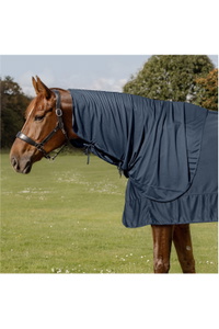 2026 Waldhausen Health + Care Ice Layer Neck Piece 6319705 - Night Blue
