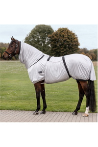 2026 Waldhausen Ekzem Teppich 8057711 - Silver Grey