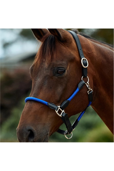 Dublin Leather Rope Headcollar