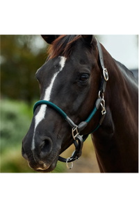 2026 Dublin Cuero Cuerda Cabezada De Cuadra 1031533 - Hunter Green / Brown