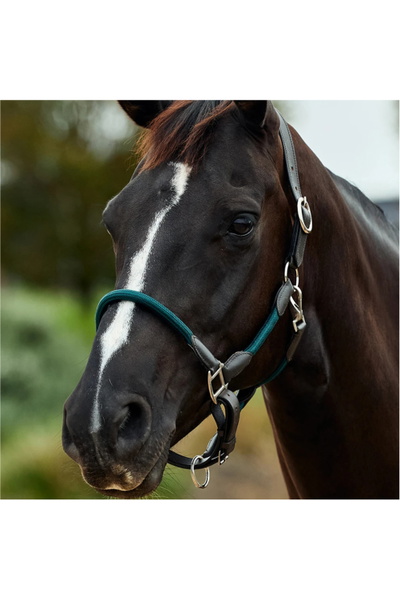 Dublin Leather Rope Headcollar