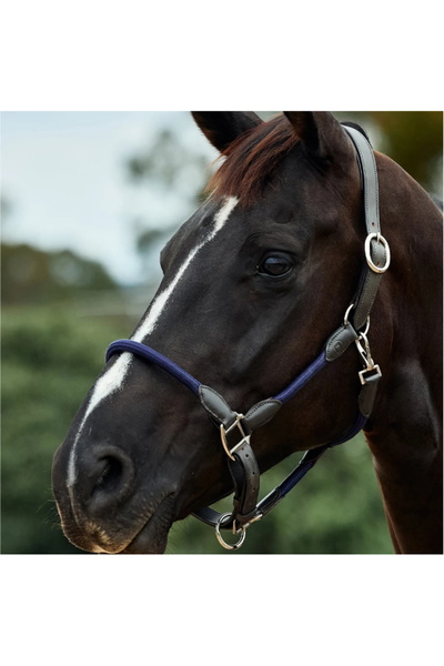 Dublin Leather Rope Headcollar