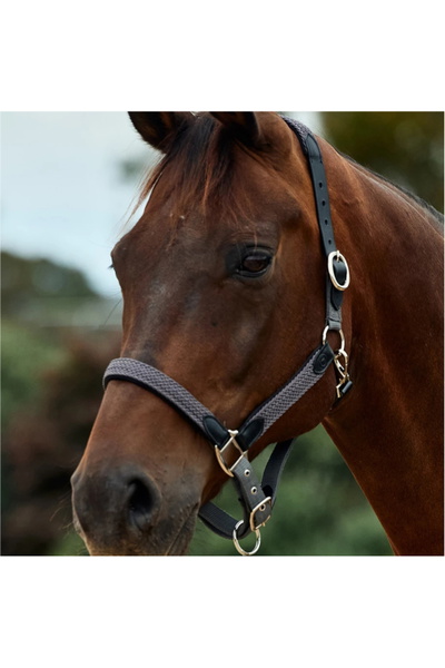 Dublin Braided Leather Headcollar
