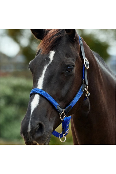 Dublin Braided Leather Headcollar