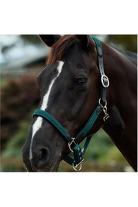 2026 Dublin Tressé Cuir Licol 1031532 - Hunter Green