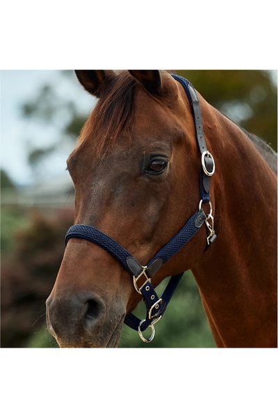 Dublin Braided Leather Headcollar