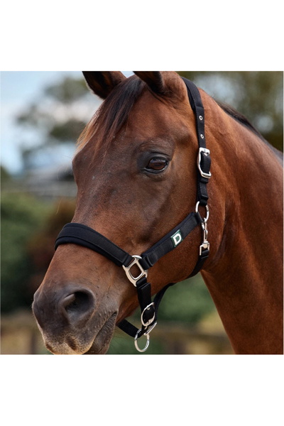 Dublin Neo Comfort Headcollar