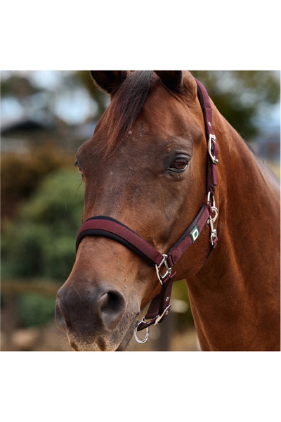 Dublin Neo Comfort Headcollar