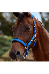 2026 Dublin Neo Comfort Halster 1031035 - Cobalt