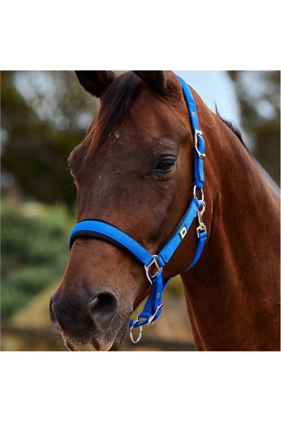Dublin Neo Comfort Headcollar