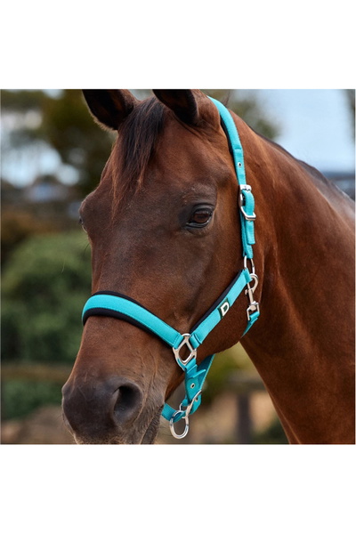 Dublin Neo Comfort Headcollar
