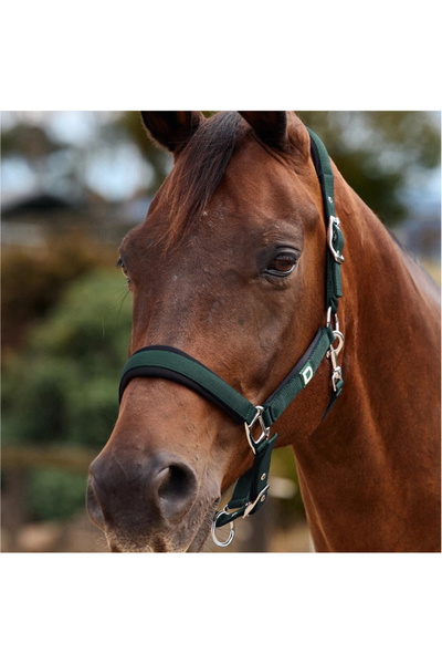 Dublin Neo Comfort Headcollar