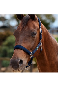 2026 Dublin Neo Comfort Headcollar 1031035 - Navy