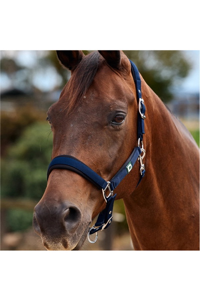 Dublin Neo Comfort Headcollar