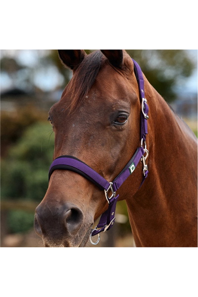 Dublin Neo Comfort Headcollar