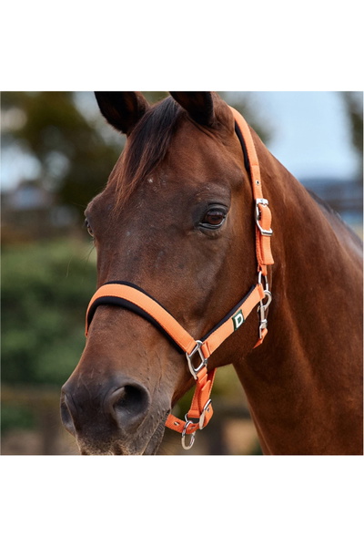 Dublin Neo Comfort Headcollar