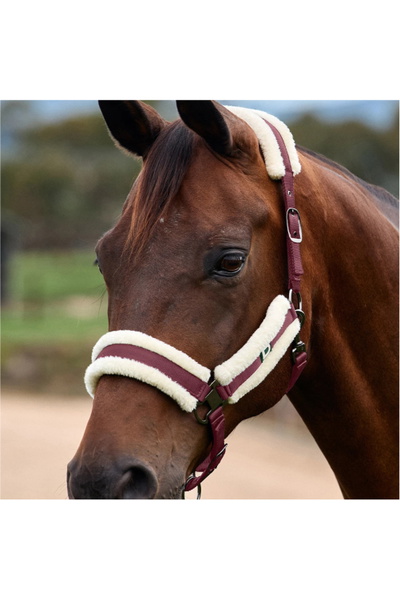 Dublin Soft Fit Headcollar
