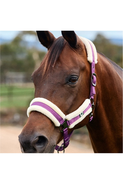 Dublin Soft Fit Headcollar