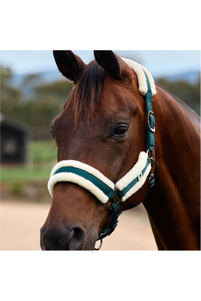 Dublin Soft Fit Headcollar