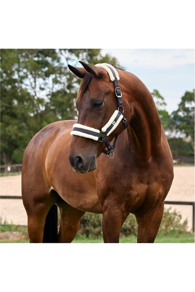 Dublin Soft Fit Headcollar