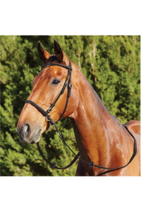 2026 Dublin Bitless Bridle 1031493 - Black