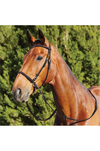 Dublin Bitless Bridle