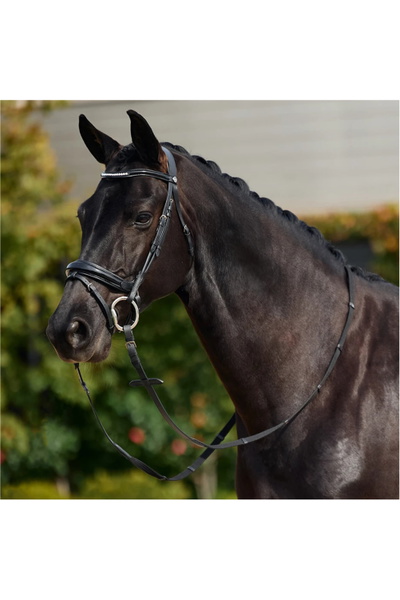 Dublin Padded Mono Crown Patent Flash Bridle