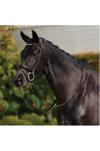2026 Dublin Rembourré Mono Couronne Brevet Flash Bridle 1031501 - Brown