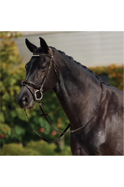 Dublin Padded Mono Crown Patent Flash Bridle