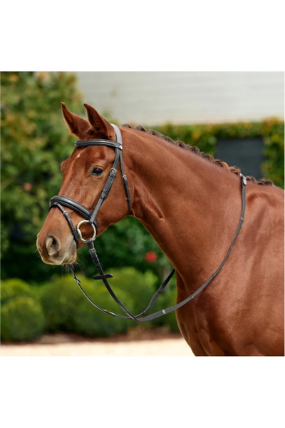 Dublin Padded Mono Crown Flash Bridle