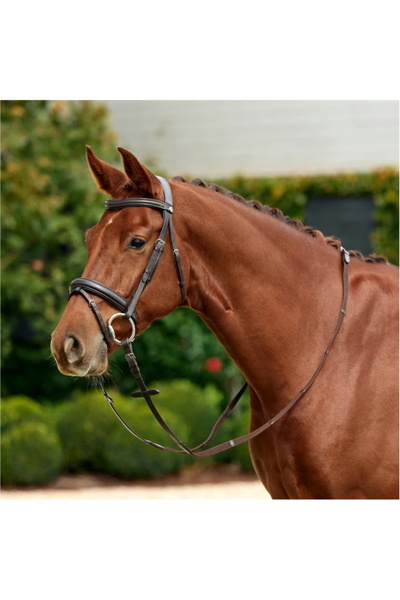 Dublin Padded Mono Crown Flash Bridle