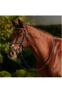 2026 Dublin Padded Mono Crown Fancy Stitch Grackle Bridle 1031502 - Black