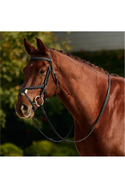 Dublin Padded Mono Crown Fancy Stitch Grackle Bridle