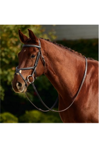 2026 Dublin Padded Mono Crown Fancy Stitch Grackle Bridle 1031502 - Brown