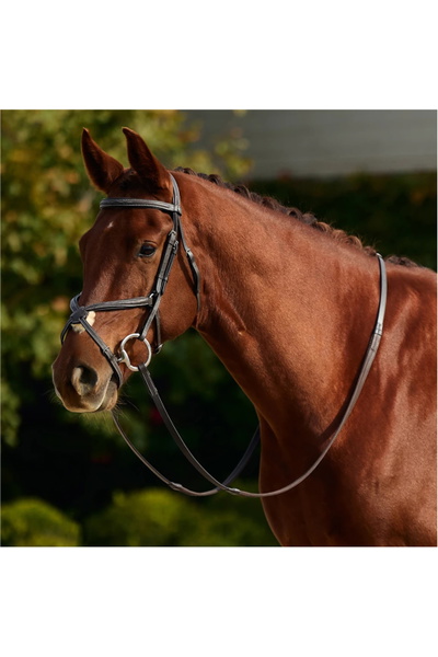 Dublin Padded Mono Crown Fancy Stitch Grackle Bridle
