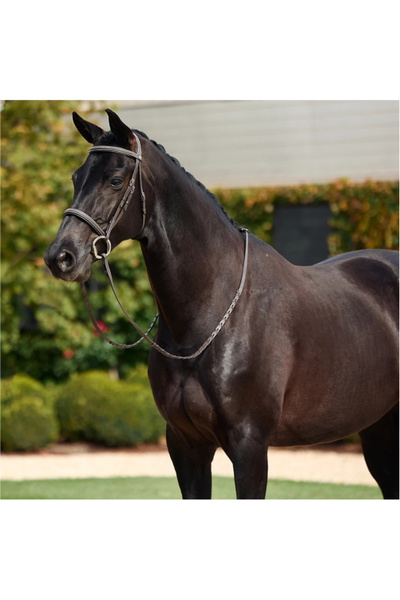 Dublin Padded Mono Crown Fancy Stitch Hunt Bridle