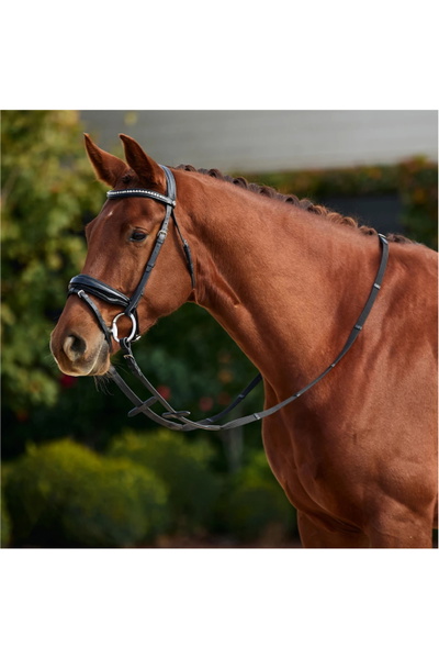 Dublin Padded Comfort Crown Patent Flash Bridle