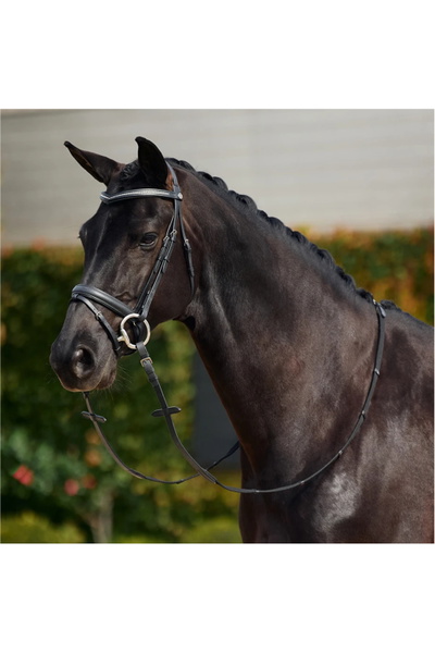 Dublin Padded Comfort Crown Crystal Flash Bridle