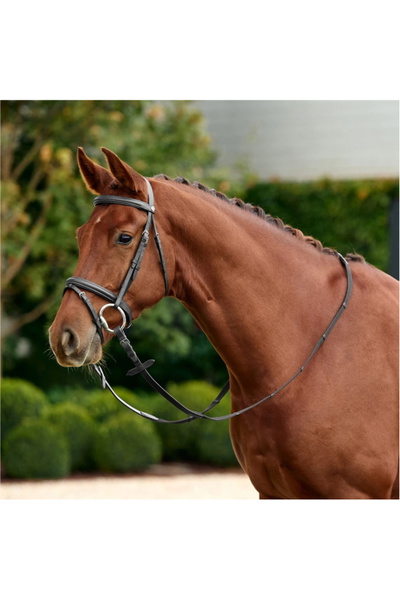 Dublin Padded Flash Bridle
