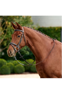 2026 Dublin Padded Flash Bridle 1031497 - Brown