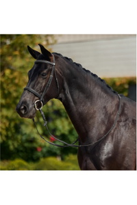 2026 Dublin Gepolsterte Cavesson-Zäumung 1031495 - Black