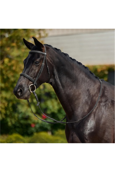 Dublin Padded Cavesson Bridle