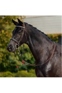 2026 Dublin Padded Cavesson Bridle 1031495 - Brown