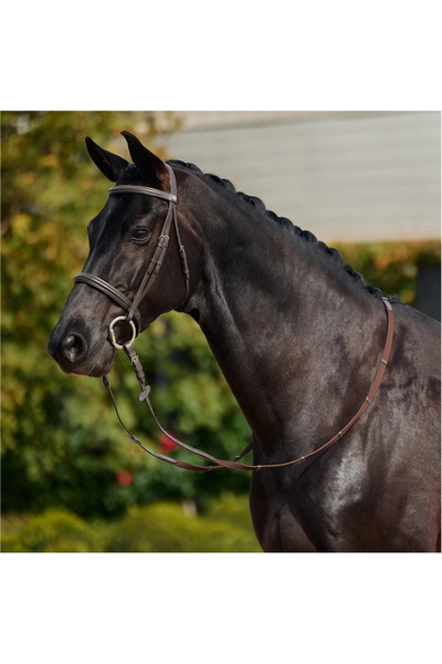Dublin Padded Cavesson Bridle