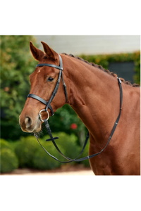 2026 Dublin Flat Cavesson Bridle 1031494 - Black
