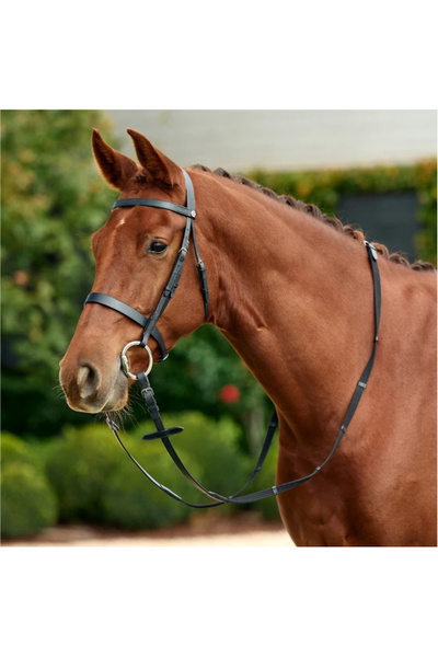 Dublin Flat Cavesson Bridle