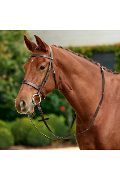 Dublin Flat Cavesson Bridle